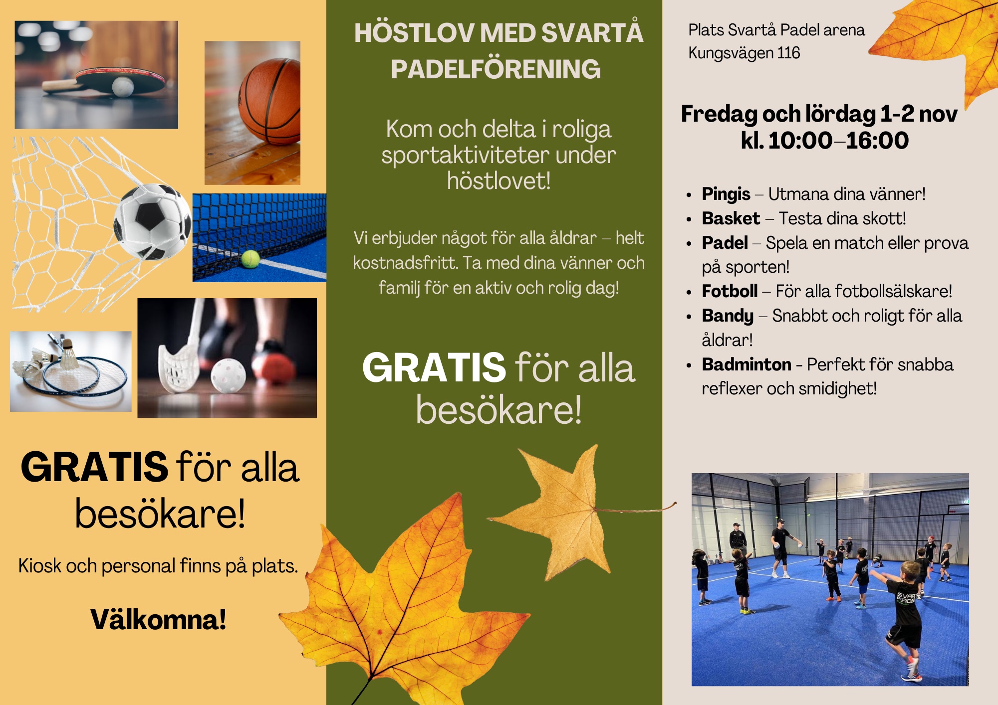 flyer med information och bilder om de två dagarna