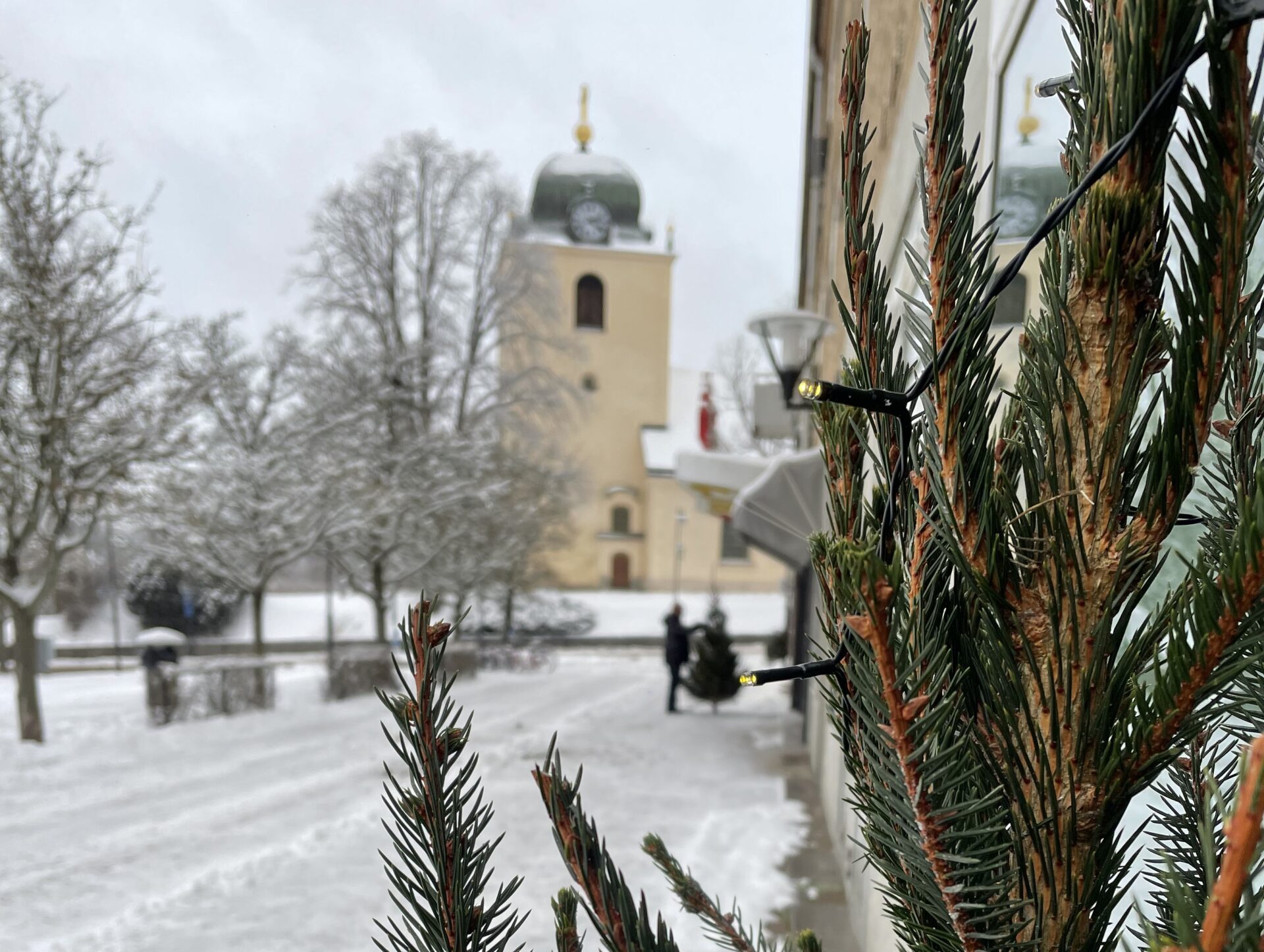 närbild på gran på stora torget i mjölby med kyrkan i bakgrunden